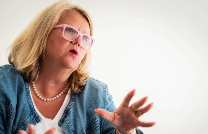 Elezioni legislative 2024. “Ci piace dire la verità” dice Christel Hénaff, candidata RN a Quimper-Fouesnant