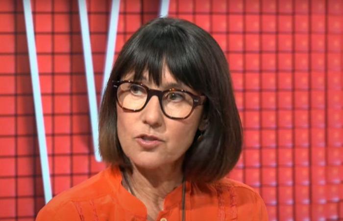 Alexia Laroche-Joubert discute delle sanzioni di Cyril Hanouna nel TPMP: “La realtà è che…”