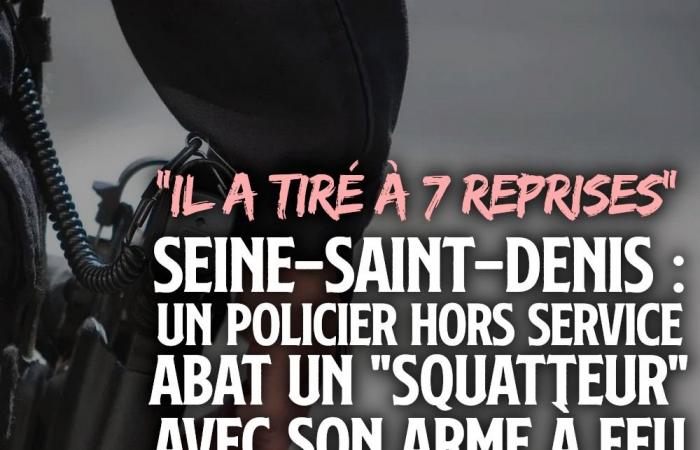 Fuori servizio: omicidio della polizia a Seine-Saint-Denis