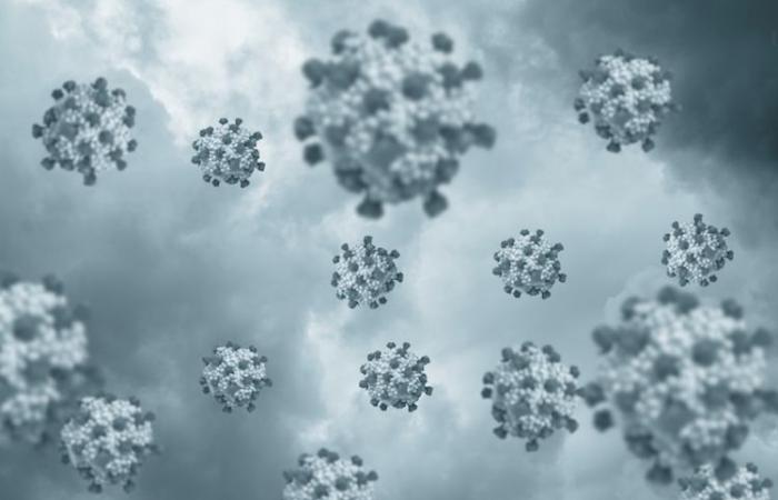 Centinaia le persone contagiate dal norovirus nella regione del Lago di Garda