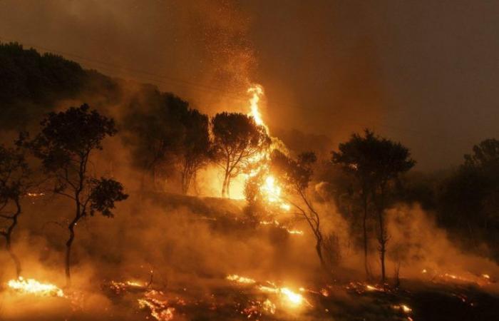 Due incendi boschivi infuriano nel nord-ovest della Grecia