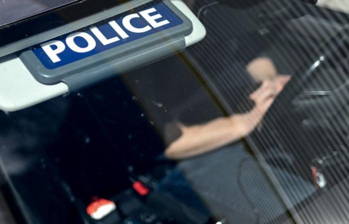 Sospettato di aver ucciso il padre spingendolo dal 9° piano, un giovane in custodia di polizia a Parigi