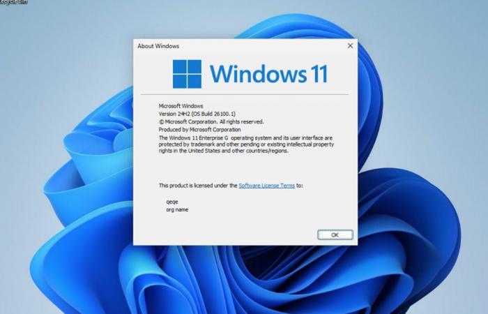 Non installare questa versione leggera di Windows 11 che si trova in giro su Internet, è piena di difetti