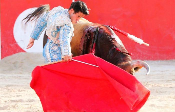 La più grande annata della Feria de Boujan per l’atto VIII di “toros y campo”