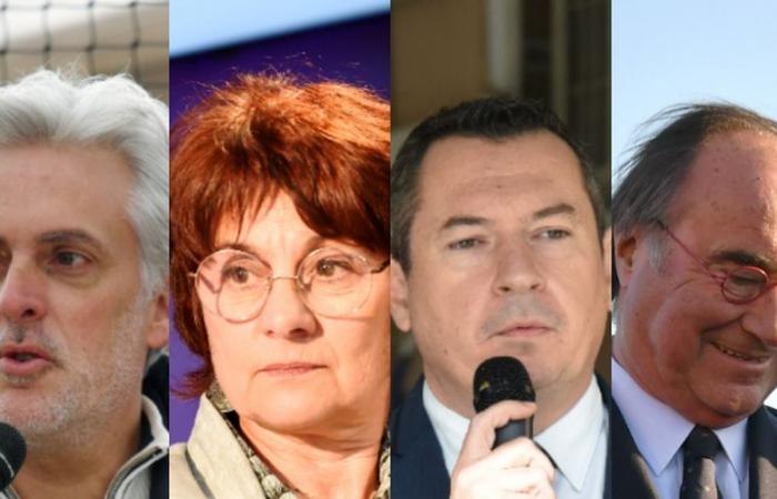 Legislativa 2024: “rischio sindaco RN”, “voto sanzionatorio”, “rigetto di Commeinhes”… reazioni politiche a Sète