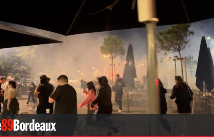 La vittoria è stata spruzzata con gas lacrimogeni per disperdere la manifestazione contro l’estrema destra a Bordeaux