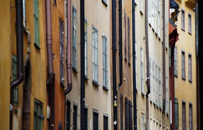 Immobiliare: i terreni a 10 centesimi al metro quadrato provocano frenesia in Svezia – 07.01.2024 alle 13:40