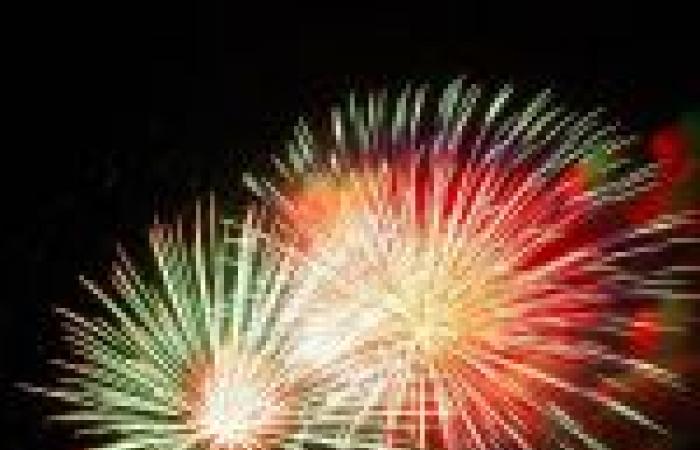 Festa Nazionale del 14 luglio a Blanc-Mesnil (93): Fuochi d’artificio e stand gastronomico