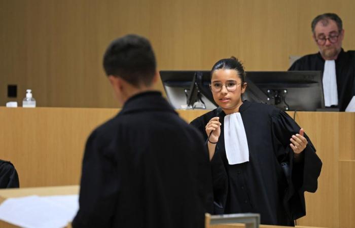 dei quarti di Duruy riproducono brillantemente un processo d’assise in tribunale