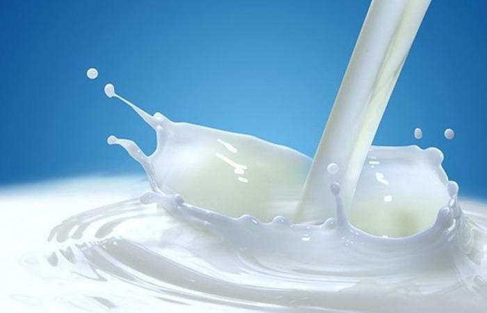 Latte di soia, avena, mandorla… L’OMS mette in guardia dalle bevande vegetali che sostituiscono i latticini