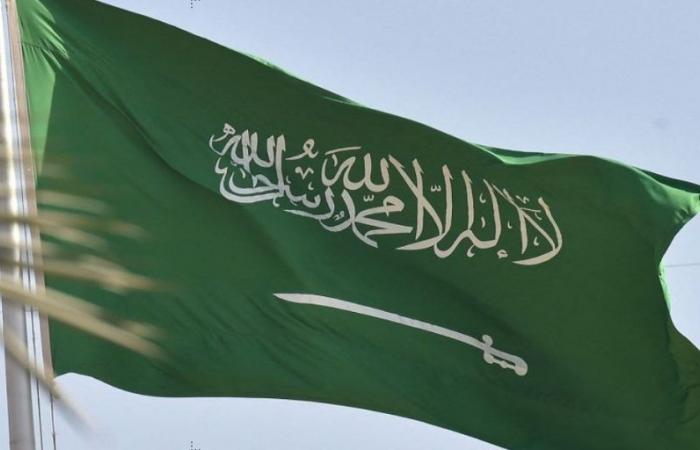 Arabia Saudita: scoperta di nuovi giacimenti di petrolio e gas