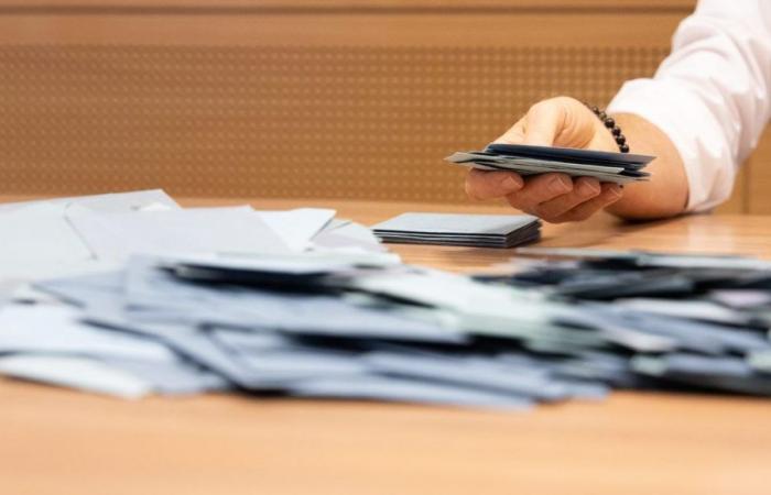 Elezioni legislative 2024: ritiri, riconferma, quali candidati al secondo turno in Loira Atlantica e Vandea