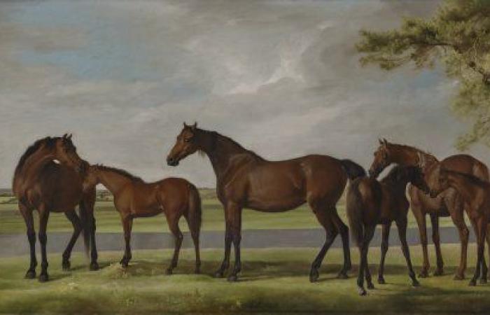 Un George Stubbs acquisito dal Kimbell Art Museum