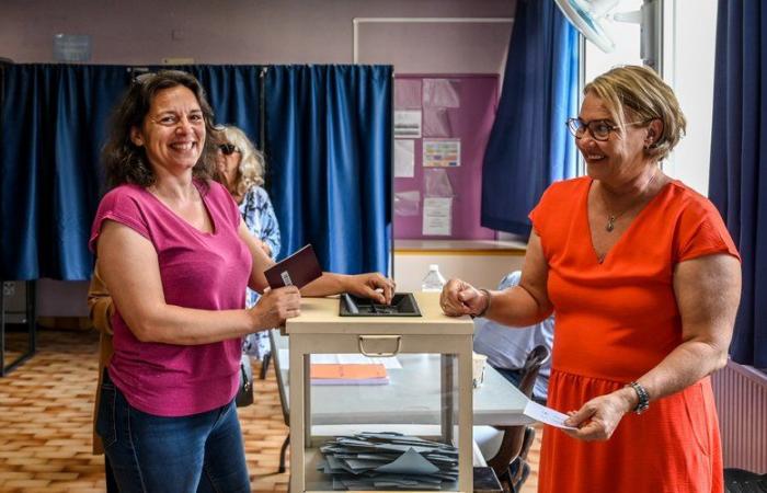 Elezioni legislative 2024 nei Pirenei Orientali: nella prima circoscrizione, un nuovo candidato deluso chiede di votare per il Nuovo Fronte Popolare