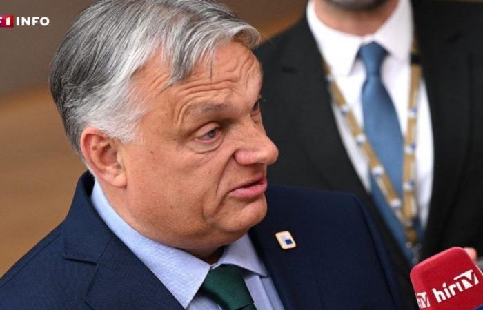 LIVE – Guerra in Ucraina: l’ungherese Viktor Orban arriva a Kiev per la sua prima visita nel Paese
