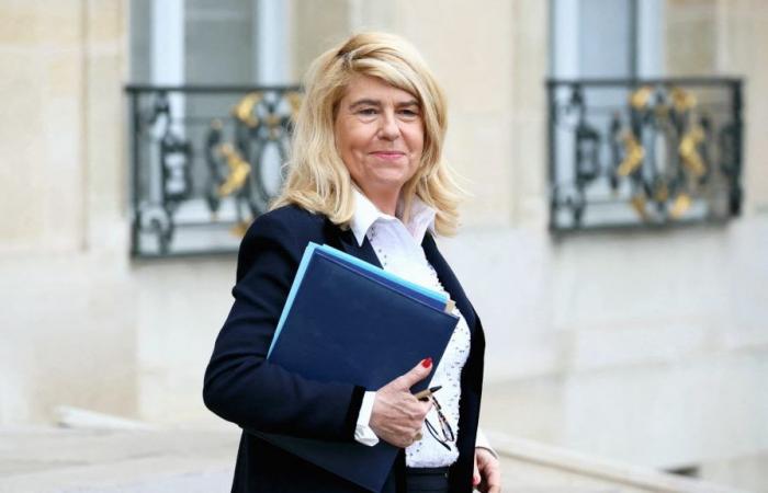 di fronte alla RN, il ministro Dominique Faure ritira finalmente la sua candidatura nell’Alta Garonna