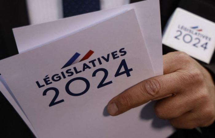 Elezioni legislative in Val d’Oise: Emilie Chandler, candidata della maggioranza, mantiene la sua posizione mentre la RN è in testa