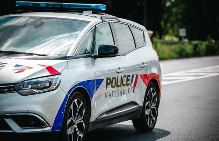 Sospettati di furti con scasso nel centro della città di Bourges, vengono nuovamente arrestati per danni