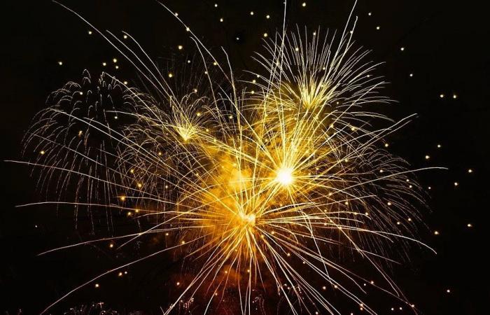 I fuochi d’artificio del 14 luglio a Chelles 2024 (77)