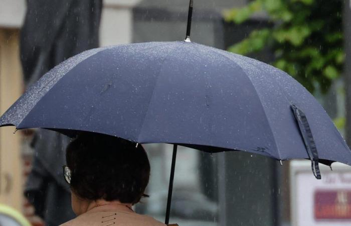 Secondo Météo France, a giugno in Francia ha piovuto il 20% in più del normale