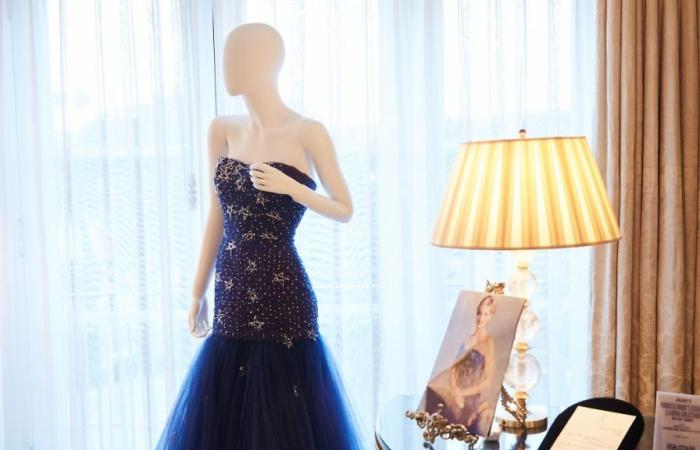 Il guardaroba di lusso della principessa Diana è stato venduto all’asta per milioni