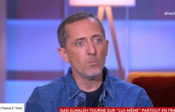 “Contrariamente a quanto pensa Léa Salamé…”: Gad Elmaleh affronta il giornalista in C à vous (ZAPTV)