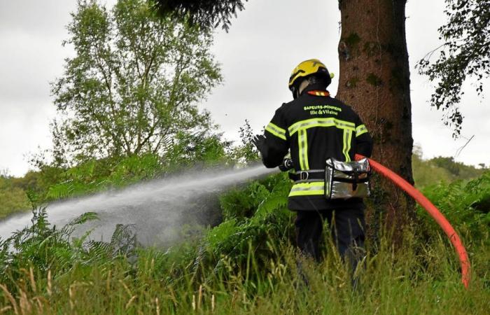Lotta contro gli incendi boschivi nell’Ille-et-Vilaine: cosa cambia nel 2024