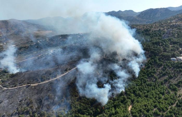 Incendi boschivi | Mentre le isole greche bruciano, Atene avverte che l’estate sarà “pericolosa”