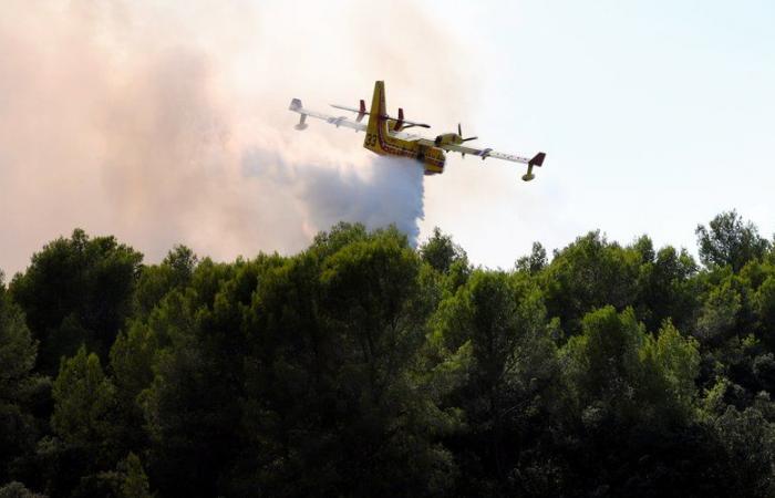 Martedì è scattato l’allarme arancione per gli incendi a Montpellier: zoo, riserva del Lez e bosco di Montmaur, quali siti sono colpiti?