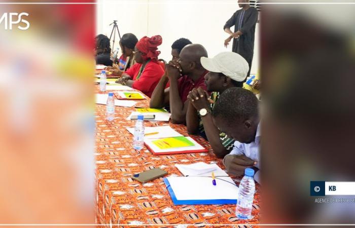 SENEGAL-CULTURA-FORMAZIONE / Venticinque artisti visivi senegalesi alla scuola di gestione della carriera – Agenzia di stampa senegalese