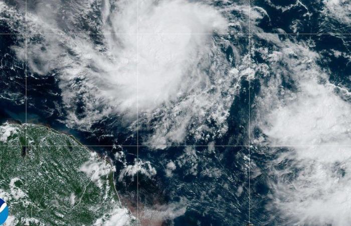 Uragano Béryl: “In mezz’ora l’isola è stata rasa al suolo…” Tutti i Caraibi minacciati da questo uragano “potenzialmente catastrofico”