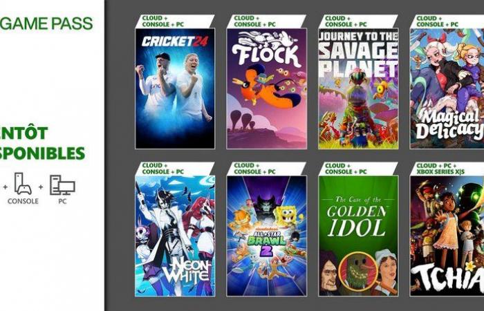 Xbox Game Pass luglio 2024: ecco i primi 11 giochi annunciati, tra cui Tchia | Xbox