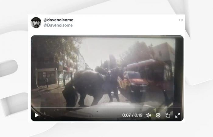 nuovi cavalli militari in fuga nel centro della città, un animale “leggermente ferito”