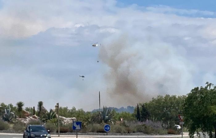Scoppia un incendio nella vegetazione nell’Aude, segnalato un forte vento sul posto, sul posto una quarantina di vigili del fuoco