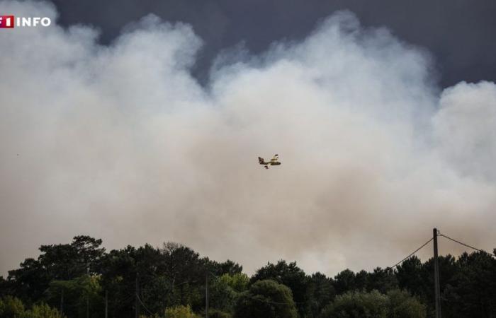 Rischi incendio: il dipartimento delle Bocche del Rodano è stato messo in allerta arancione