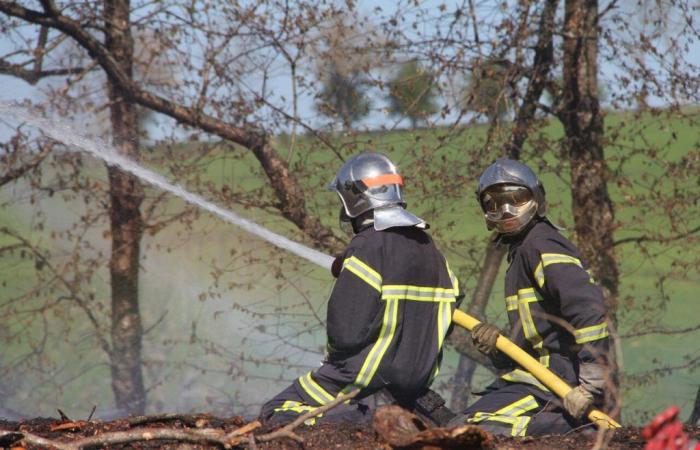 Un grande incendio nella vegetazione alla periferia di Sigean nell’Aude: sul posto 90 vigili del fuoco