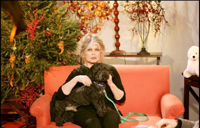 Brigitte Bardot parla dei suoi nipoti in termini scortesi – Closer