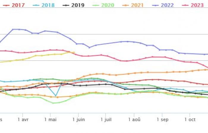 Vacche da latte: i prezzi nell’UE superano il livello dell’anno scorso