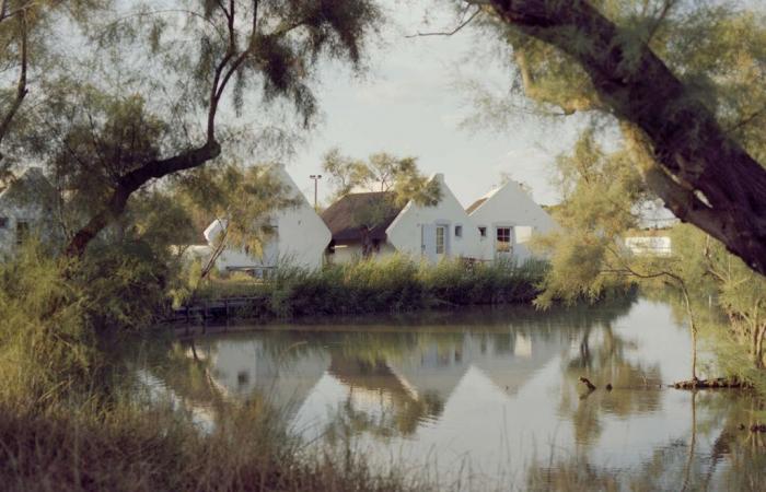 La
      Camargue
      tra
      cielo
      e
      mare