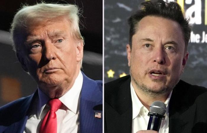 Se
      eletto,
      Donald
      Trump
      nominerà
      Elon
      Musk
      a
      capo
      di
      una
      commissione
      speciale
      –
      Il
      mio
      blog