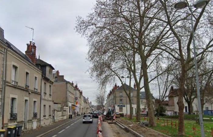 Info
      Tours
      |
      Boulevard
      Jean
      Royer:
      vieni
      a
      farti
      fotografare
      la
      macchina
      questa
      domenica