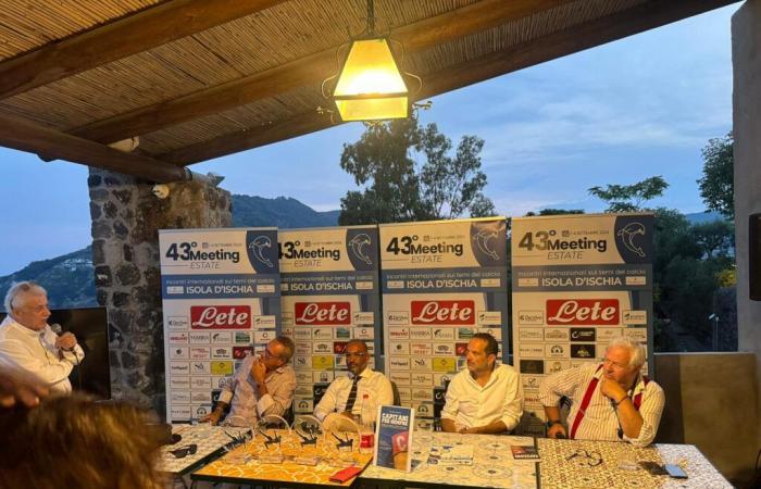 L'incontro
      estivo
      del
      2024
      torna
      all'Isola
      Verde
      –