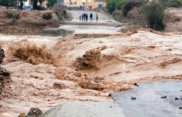 Condizioni
      meteo
      domani,
      sabato..
      Temporali
      e
      grandine
      in
      molte
      zone