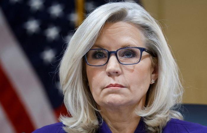 Liz
      Cheney
      dice
      che
      voterà
      per
      Harris
      come
      presidente