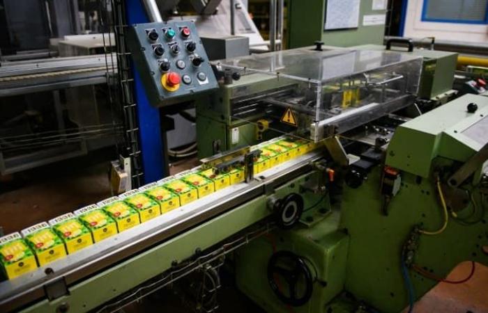 Produzione
      industriale
      in
      calo
      dello
      0,5%
      a
      luglio,
      secondo
      l'INSEE