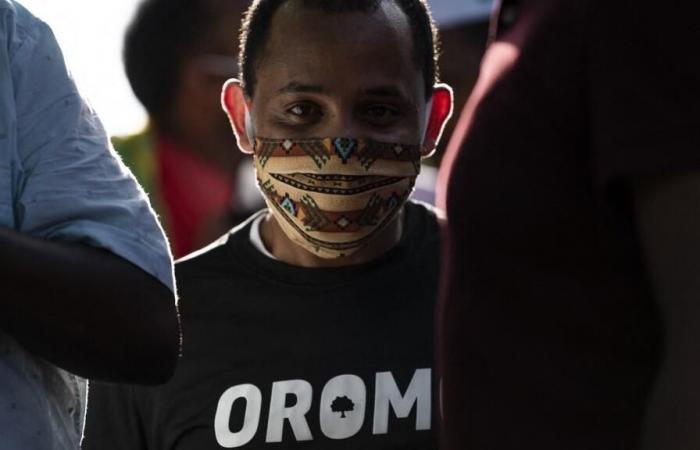 Sette
      oppositori
      dell'Oromia
      rilasciati
      dopo
      tre
      anni
      di
      prigione
      –
      Il
      mio
      blog