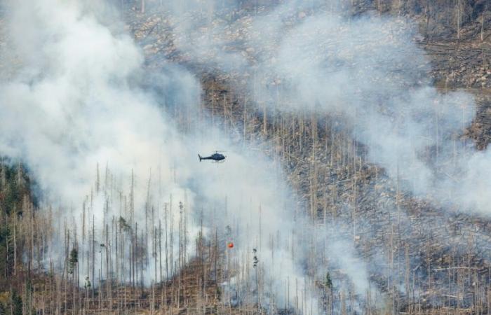 I
      vigili
      del
      fuoco
      affrontano
      un
      grave
      incendio
      boschivo
      –
      Il
      mio
      blog