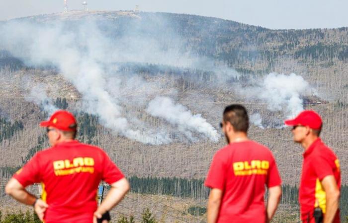 I
      vigili
      del
      fuoco
      affrontano
      un
      grave
      incendio
      boschivo