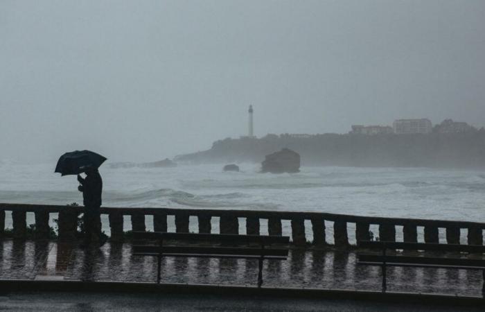 Sette
      dipartimenti
      nel
      sud-ovest
      ora
      in
      allerta
      arancione
      per
      inondazioni
      o
      inondazioni
      causate
      da
      pioggia