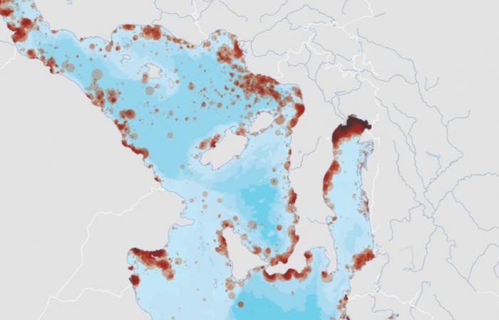 La
      mappatura
      allarmante
      delle
      plastiche
      galleggianti
      nel
      Mediterraneo